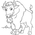 bison-coloring-pages-018.jpg