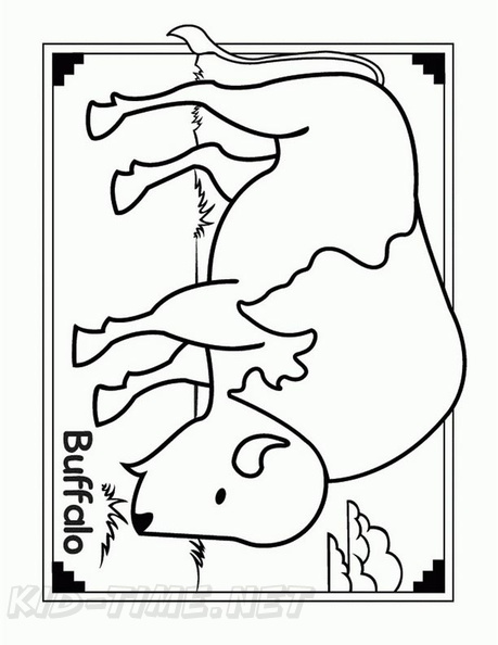 bison-coloring-pages-021.jpg