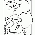 bison-coloring-pages-021.jpg