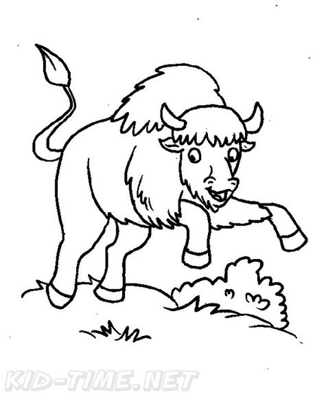 bison-coloring-pages-024.jpg