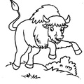 bison-coloring-pages-024.jpg