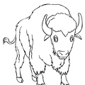 bison-coloring-pages-027.jpg