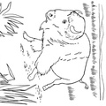 bison-coloring-pages-028.jpg