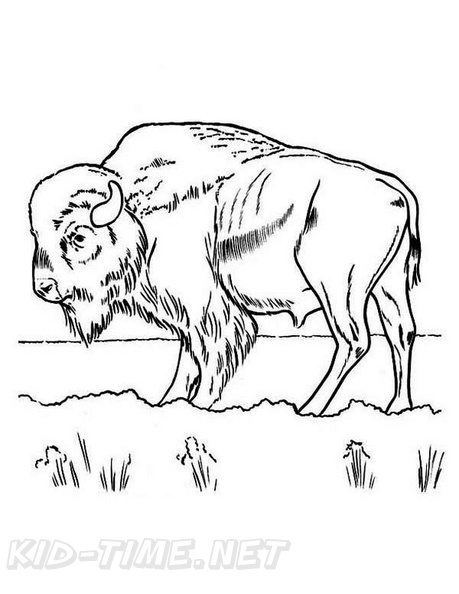 bison-coloring-pages-029.jpg