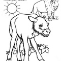 bison-coloring-pages-034.jpg