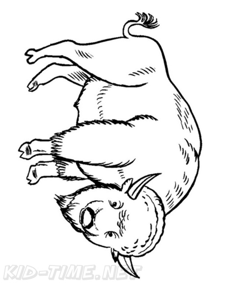 bison-coloring-pages-036.jpg