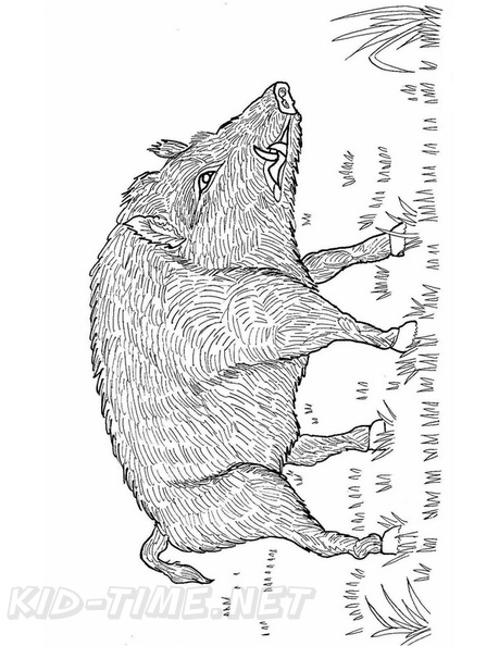 boar-coloring-pages-001.jpg