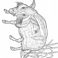 boar-coloring-pages-004.jpg