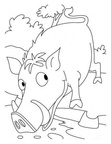 boar-coloring-pages-010