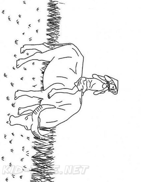 buffalo-coloring-pages-006.jpg