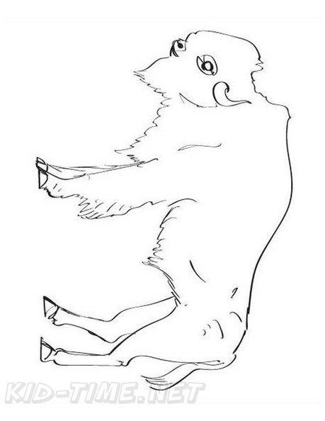 buffalo-coloring-pages-018.jpg