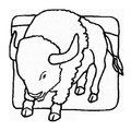 buffalo-coloring-pages-027.jpg