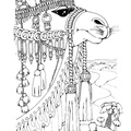camel-coloring-pages-009.jpg