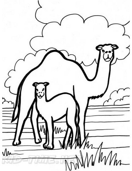 camel-coloring-pages-039.jpg