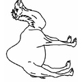 camel-coloring-pages-043.jpg