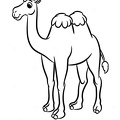 camel-coloring-pages-049.jpg