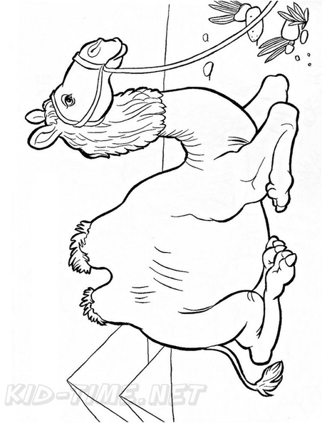 camel-coloring-pages-050.jpg