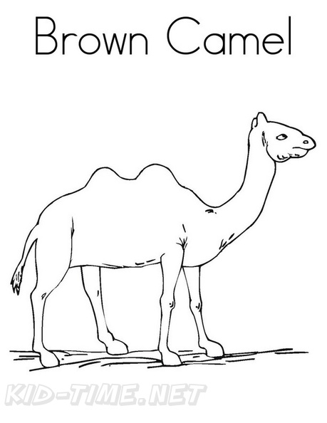 camel-coloring-pages-056.jpg