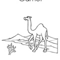 camel-coloring-pages-068.jpg