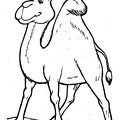 camel-coloring-pages-084.jpg