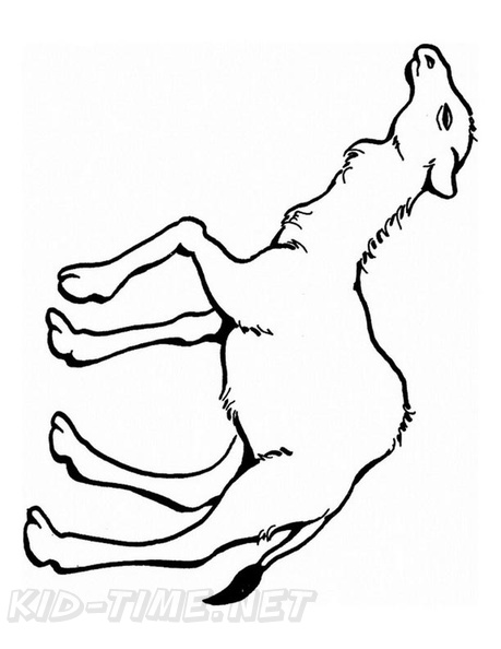 camel-coloring-pages-086.jpg