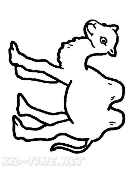 camel-coloring-pages-116.jpg