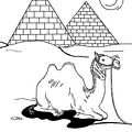camel-coloring-pages-219.jpg