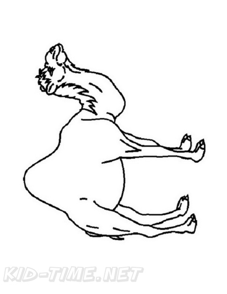 camel-coloring-pages-221.jpg