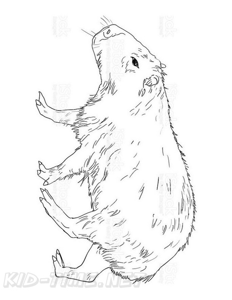 capybara-coloring-pages-001.jpg