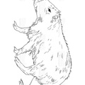Capybara Coloring Book Page