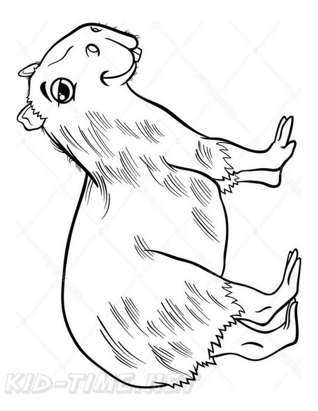 capybara-coloring-pages-013.jpg