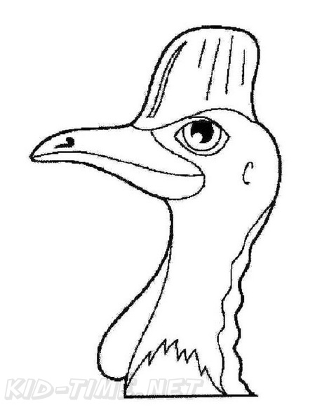 Cassowary_Coloring_Pages_006.jpg