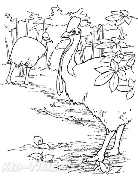 Cassowary_Coloring_Pages_008.jpg
