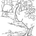 Cassowary_Coloring_Pages_008.jpg