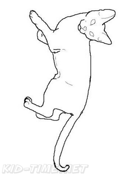 Abyssinian_Cat_Coloring_Pages_002.jpg