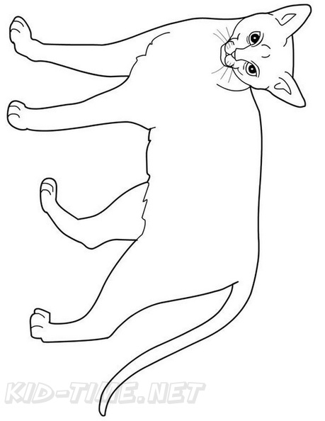 Abyssinian_Cat_Coloring_Pages_009.jpg