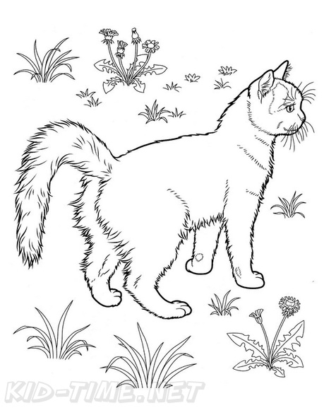 Abyssinian_Cat_Coloring_Pages_011.jpg