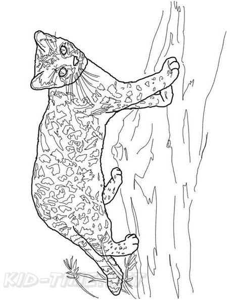 African_Serval_Cat_Coloring_Pages_002.jpg
