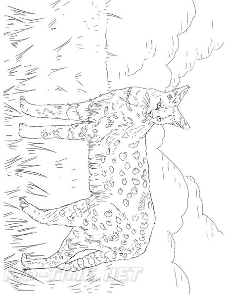 African_Serval_Cat_Coloring_Pages_007.jpg
