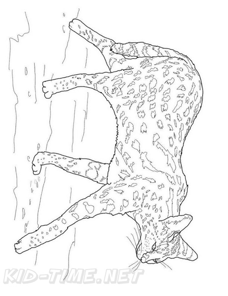 African_Serval_Cat_Coloring_Pages_008.jpg