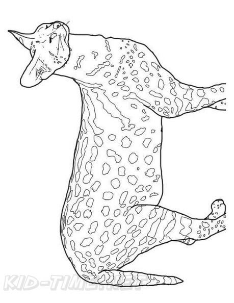 African_Serval_Cat_Coloring_Pages_010.jpg