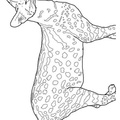 African_Serval_Cat_Coloring_Pages_010.jpg