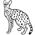 Serval Cats Coloring Book Page