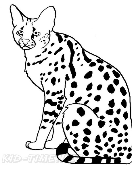 African_Serval_Cat_Coloring_Pages_012.jpg