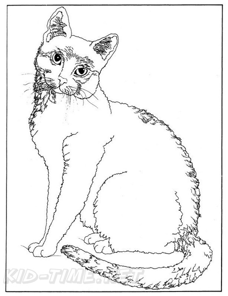 American_Wirehair_Cat_Coloring_Pages_005.jpg