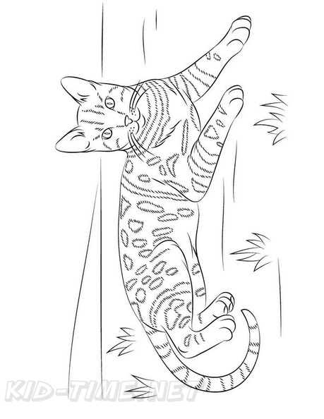 Bengal_Cat_Coloring_Pages_005.jpg