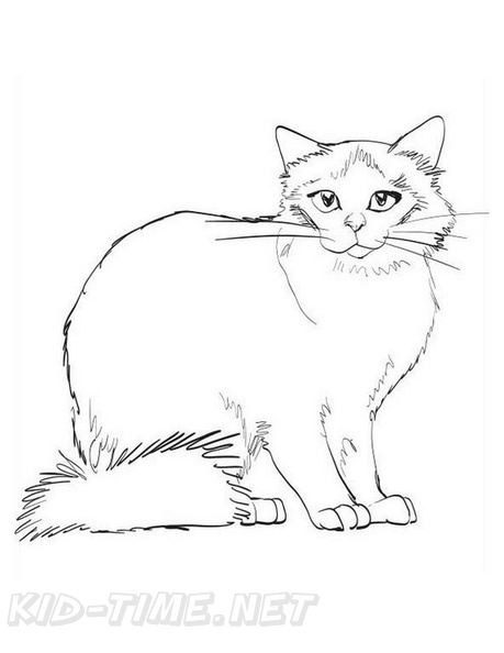 Birman_Cat_Coloring_Pages_003.jpg