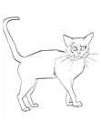 Bombay Cat Coloring Book Page