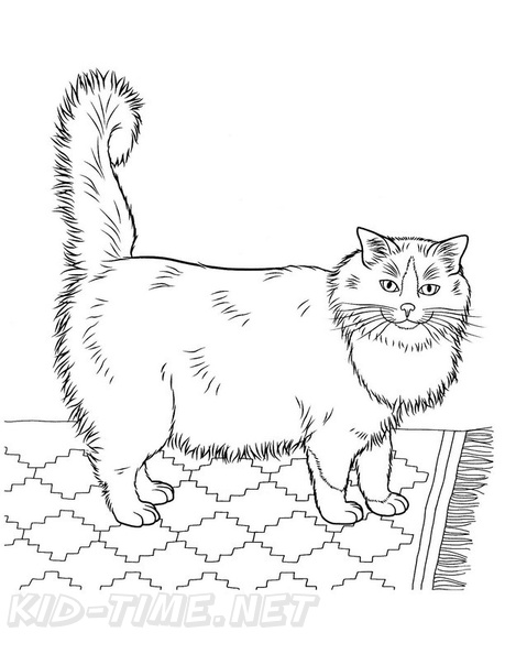 Bombay_Cat_Coloring_Pages_006.jpg