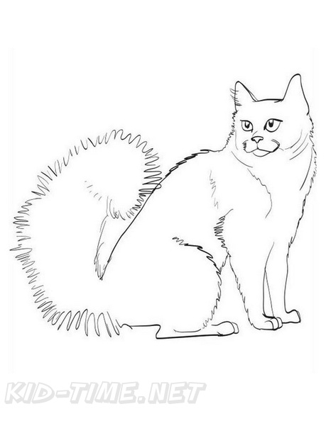 British_Shorthair_Cat_Coloring_Pages_002.jpg